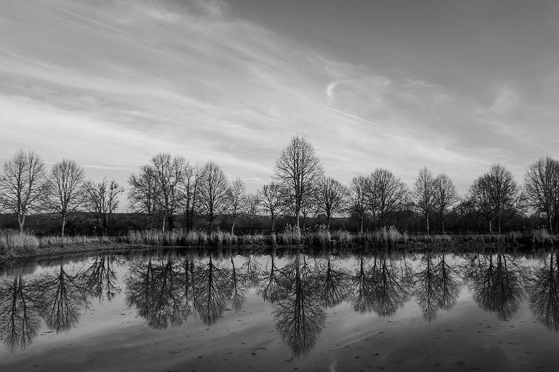 2020_02_07_canal du Nivernais (0040).jpg - Canal du Nivernais, entre Vandenesse et Panneçot (Février 2020)